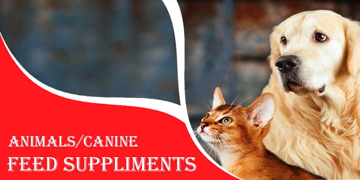 Satiate Nutritions- Canine Feed Supplement